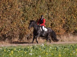 IMG_9814web